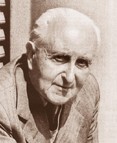 Giuseppe Novello